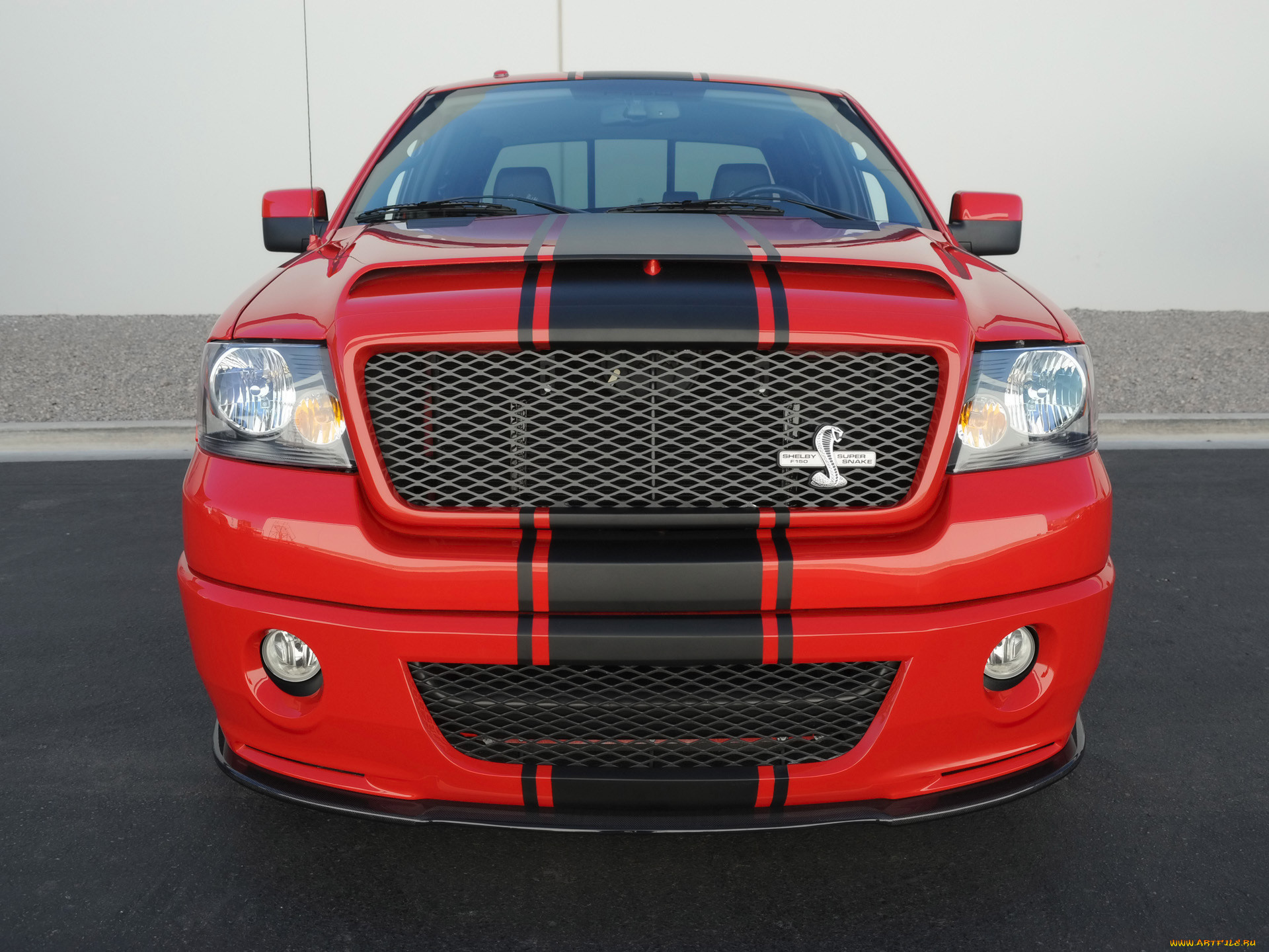 shelby f-150 super snake concept 2009, , ford, shelby, f-150, super, snake, concept, 2009